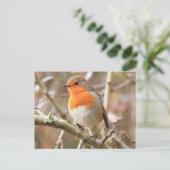 Carte Postale Chirpy Robin (Debout devant)