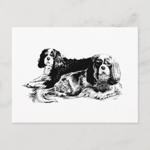 Carte postale Chloe et Ollie