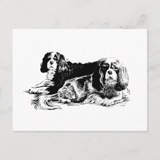Carte postale Chloe et Ollie (Devant)