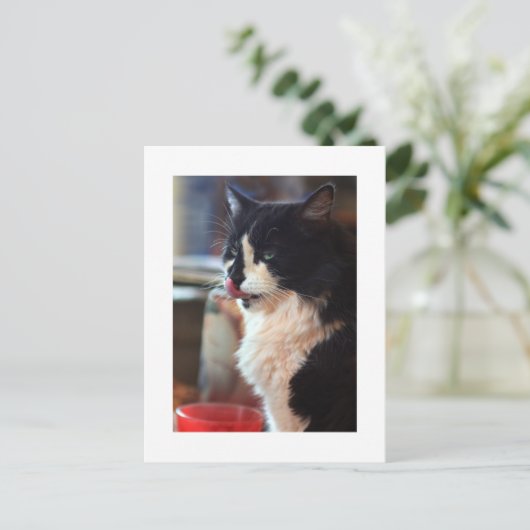 Carte Postale Chloe Licks (Debout devant)