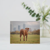 Carte Postale Chocolat Lab Pit Mix Chien - Austin TX (Debout devant)