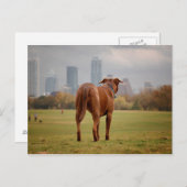 Carte Postale Chocolat Lab Pit Mix Chien - Austin TX (Devant / Derrière)