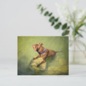 Carte Postale Chocolat Lab Pit Mix Chien Natation 6 (Debout devant)