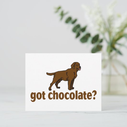 Carte Postale Chocolat Labrador (Debout devant)