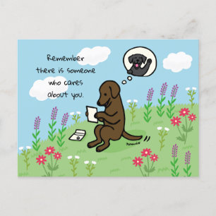 Carte Postale Chocolat Labrador et lettre Personne ne s'occupe