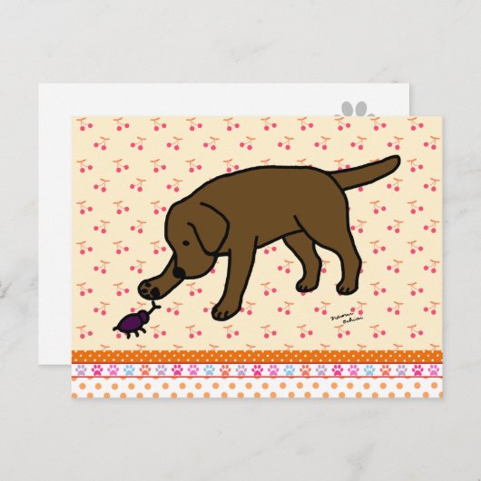 Carte Postale Chocolat Labrador Friendly (Devant / Derrière)