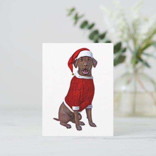Carte Postale Chocolat Labrador Temps de Noël (Debout devant)