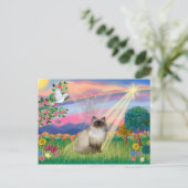 Carte Postale Chocolat Point Himalaya Chat - Angel Cloud (Debout devant)