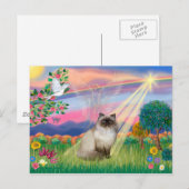 Carte Postale Chocolat Point Himalaya Chat - Angel Cloud (Devant / Derrière)