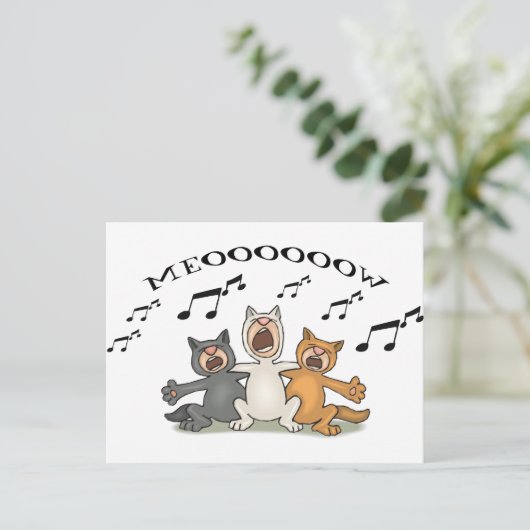 Carte Postale Choeur de chat (Debout devant)