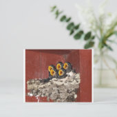 Carte Postale Choeur d'oiseaux (Debout devant)