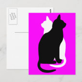 Carte Postale Choisir Couleur Noir Blanc Chat Duo Yin Yang Style (Devant / Derrière)