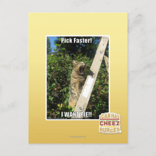 Carte Postale Choisissez Plus Rapidement !