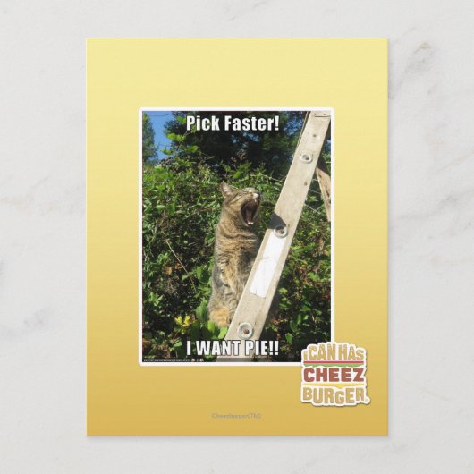 Carte Postale Choisissez Plus Rapidement ! (Devant)