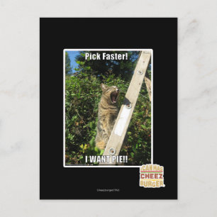Carte Postale Choisissez Plus Rapidement !