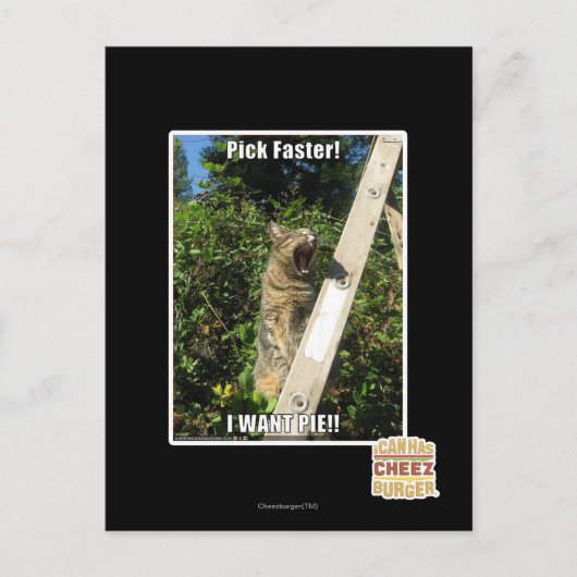 Carte Postale Choisissez Plus Rapidement ! (Devant)