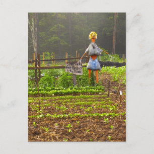 Carte Postale Choisissez vos propres Melons
