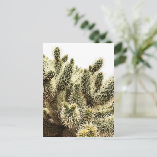 Carte Postale Cholla Cactus (Debout devant)