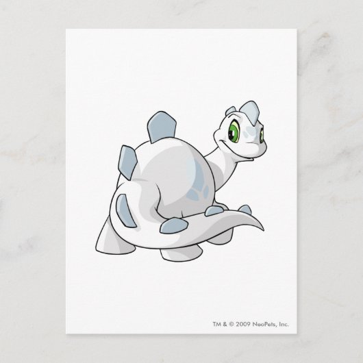 Carte Postale Chomby White (Devant)