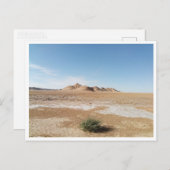 Carte Postale Chott el Gharsa (Tunisie) (Devant / Derrière)