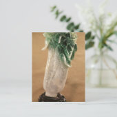 Carte Postale Chou chinois, coréen, 19ème siècle (jade) (Debout devant)