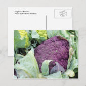Carte Postale Chou-fleur pourpre (Devant / Derrière)
