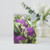 Carte Postale Chou-fleur pourpre (Debout devant)