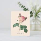 Carte Postale Chou Rose Botanique Floral (Debout devant)