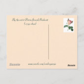 Carte Postale Chou Rose Botanique Floral (Dos)