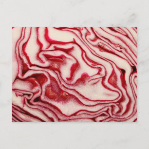 Carte Postale Chou rouge
