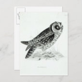 Carte Postale Chouette (Devant / Derrière)
