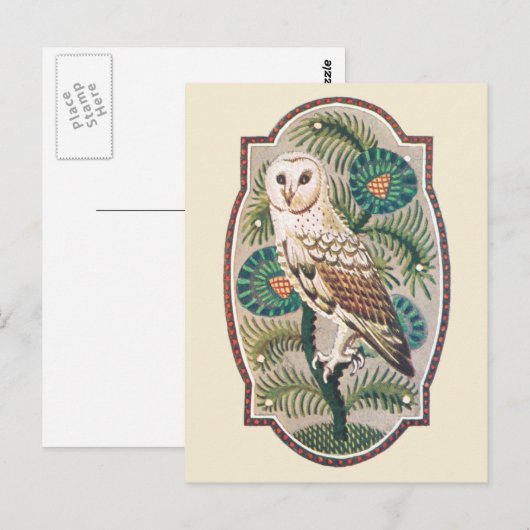 Carte Postale Chouette (Devant / Derrière)