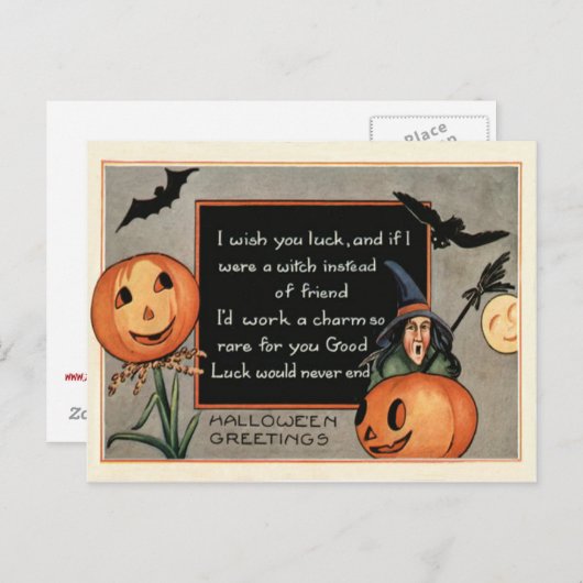 Carte Postale Chouette à chauve-souris Citrouille Jack-o'-lanter (Devant / Derrière)
