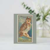 Carte Postale Chouette à cornes (Debout devant)