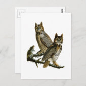 Carte Postale Chouette à cornes John Audubon Oiseaux d'Amérique (Devant / Derrière)