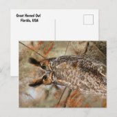 Carte Postale Chouette à grande corne (Devant / Derrière)