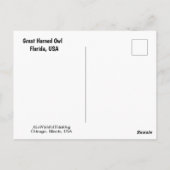 Carte Postale Chouette à grande corne (Dos)