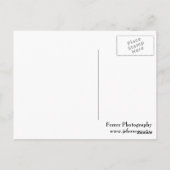 Carte Postale Chouette à grande corne (Dos)