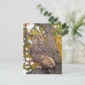 Carte Postale Chouette à grande corne (Debout devant)