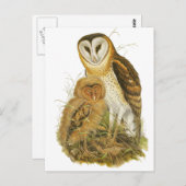 Carte Postale Chouette à herbe (Devant / Derrière)