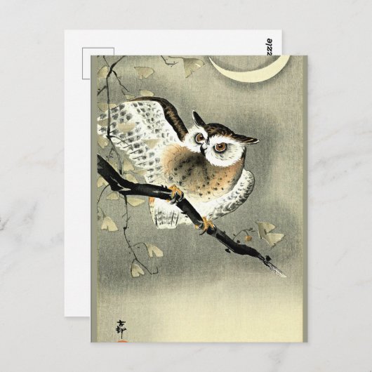 Carte Postale Chouette à longue portée sur une branche d'arbre p (Devant / Derrière)