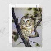 Carte Postale Chouette à mâchoires (Devant / Derrière)