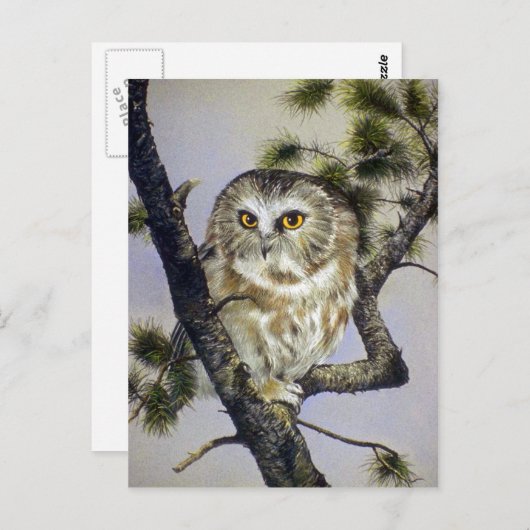 Carte Postale Chouette à mâchoires (Devant / Derrière)