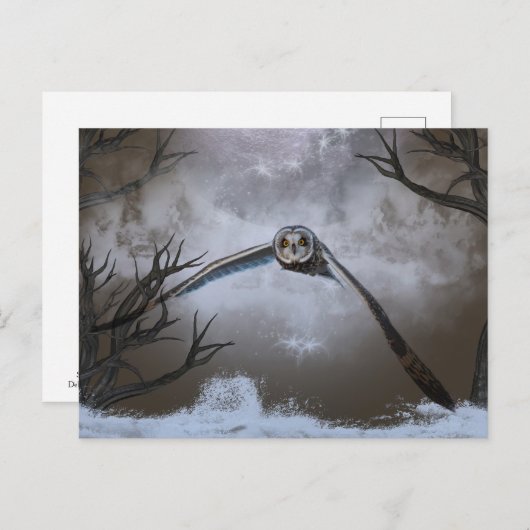 Carte Postale Chouette à oreilles courtes dans les Prairies de S (Devant / Derrière)