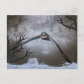 Carte Postale Chouette à oreilles courtes dans les Prairies de S (Devant)