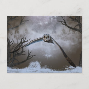 Carte Postale Chouette à oreilles courtes dans les Prairies de S