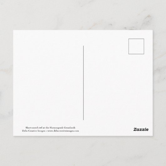 Carte Postale Chouette à oreilles courtes en vol (Dos)