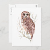 Carte Postale Chouette aquarelle, Oiseau, Nature, Faune (Devant / Derrière)
