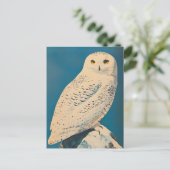Carte Postale Chouette arctique vintage (Debout devant)