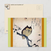 Carte Postale Chouette asiatique (Devant / Derrière)